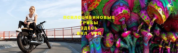 скорость Козельск