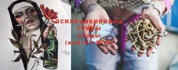 ПСИЛОЦИБИНОВЫЕ ГРИБЫ Кодинск