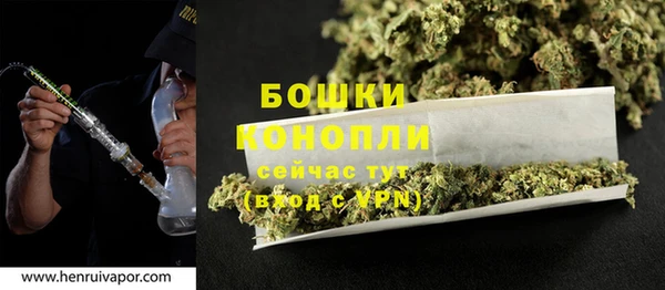 ПСИЛОЦИБИНОВЫЕ ГРИБЫ Кодинск
