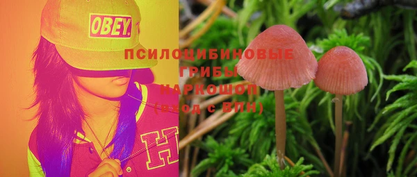 ECSTASY Козловка