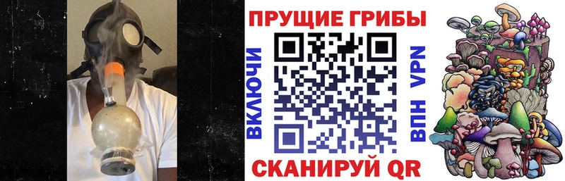 Псилоцибиновые грибы Psilocybe  Ува 